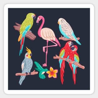 Hand drawn Exotic Bird Colorful Sticker